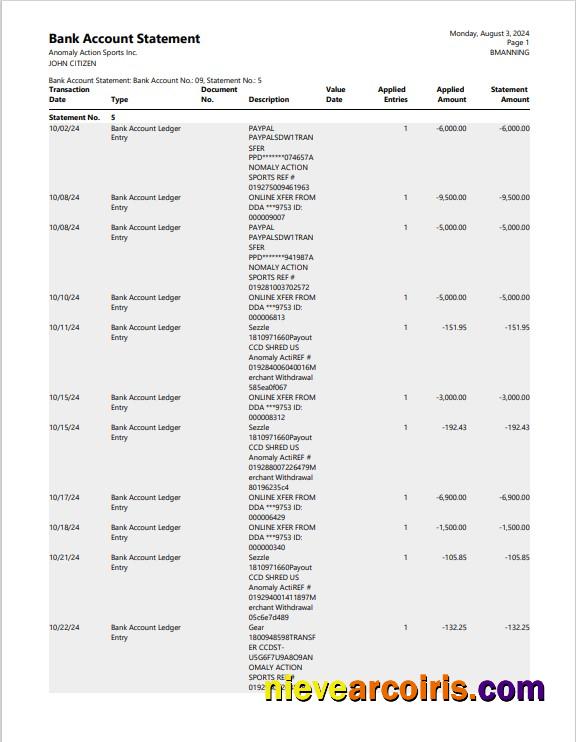 USA New York bank statement 3 – 6 months Word and PDF example